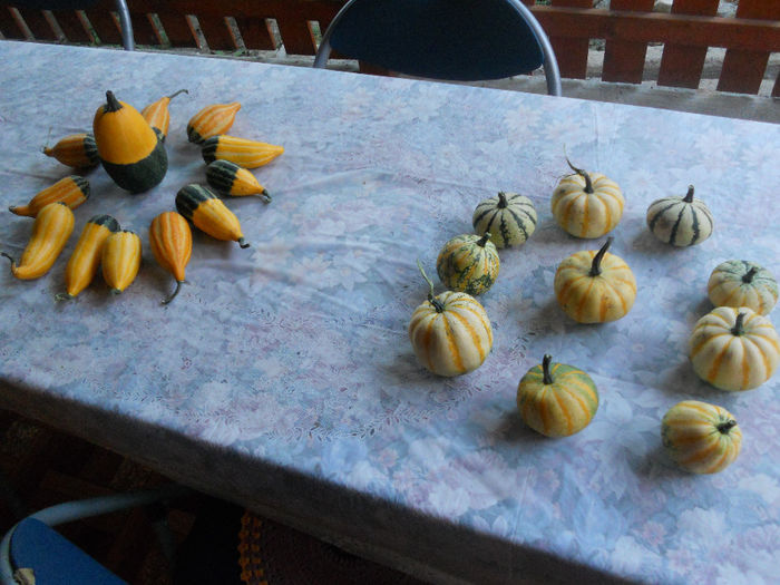 DSCN3773 - Fructe din gradina mea