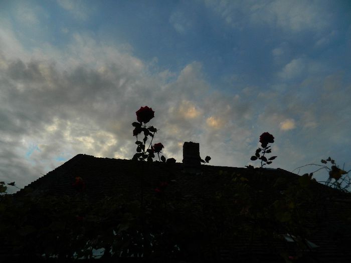 DSCN7357