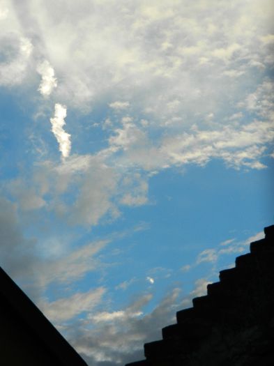 DSCN7417