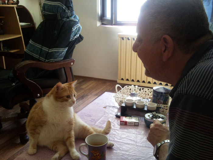 cafeaua de dimineata