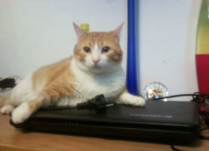 Mache de la IT.18.09.2011