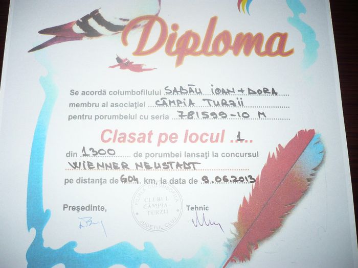 loc 1pe club si 2 pe gen din 8500 porumbei