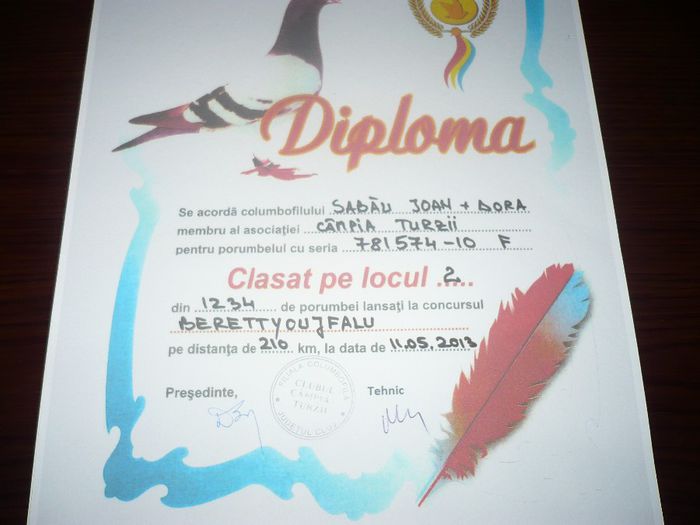 locu 2 club din 1200 porumbei