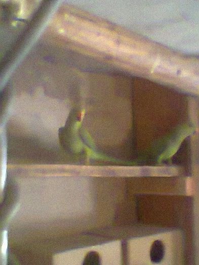 Fotogr.0518 - micu alx