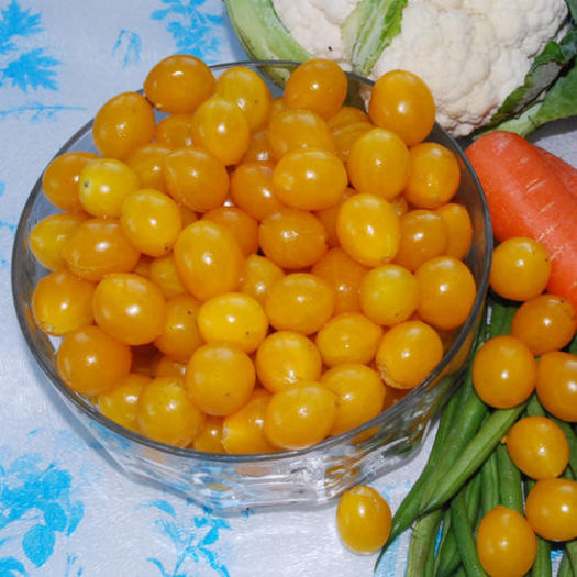 Tomate cherry galbene Ildi
