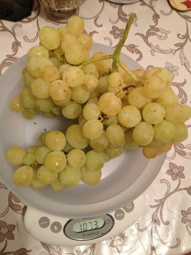 poza (27); Si un final deosebit!
