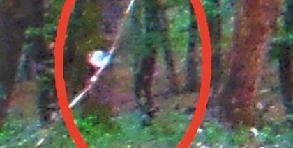 65a61693edfa254035c571f4cbad4c94 - SILUETE SUSPECTE FOTOGRAFIATE IN PADUREA HOIA BACIU DIN CLUJ-NAPOCA