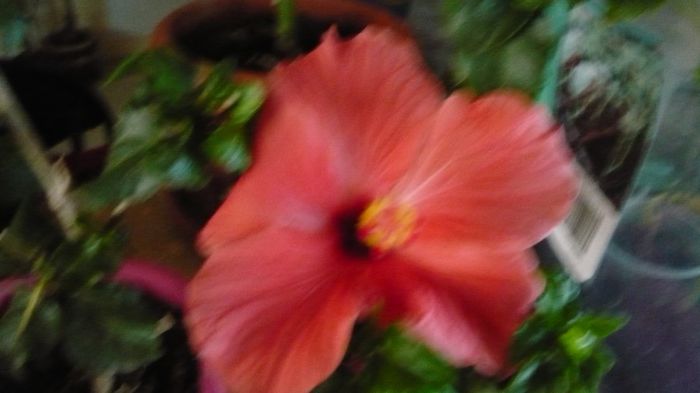 Picture 3559