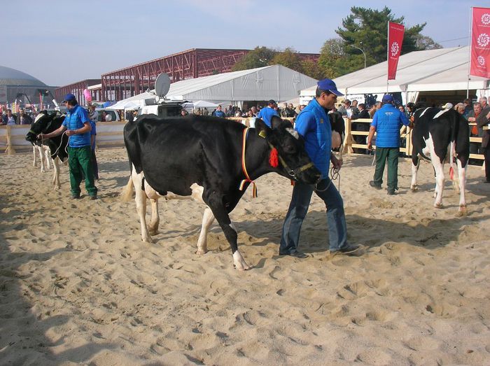 SANY0881