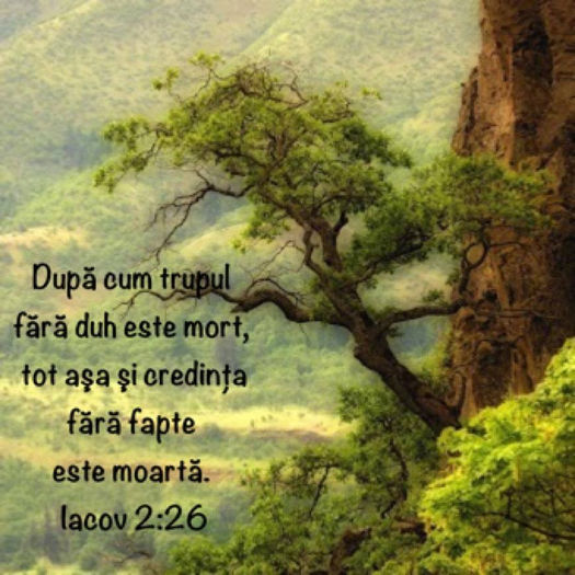  - DUMNEZEU TE IUBESTE