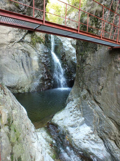 555397_658816120808926_1280209589_n