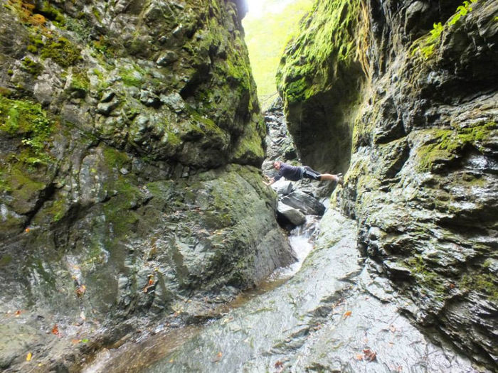 1238298_658816047475600_1557815398_n