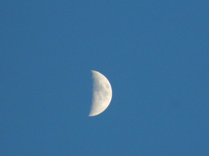 DSCN7786 - NOIEMBRIE 2013