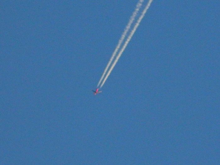 DSCN7803 - NOIEMBRIE 2013