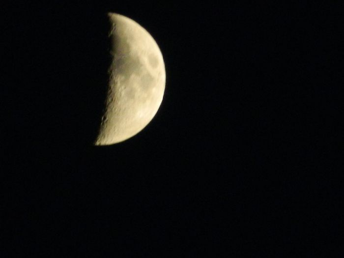 DSCN7888 - NOIEMBRIE 2013