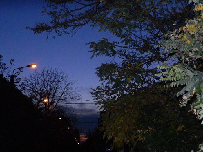 DSCN7927 - NOIEMBRIE 2013