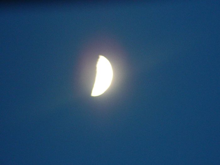 DSCN7933 - NOIEMBRIE 2013