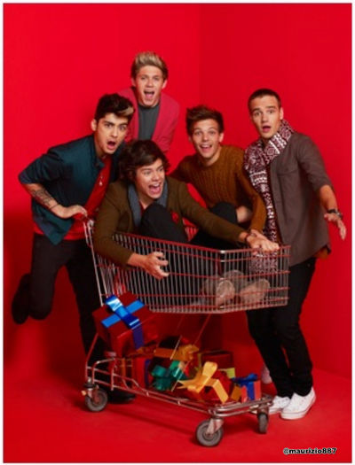 one-direction-New-Christmas-photoshoot-2012-one-direction-32780453-1221-1600