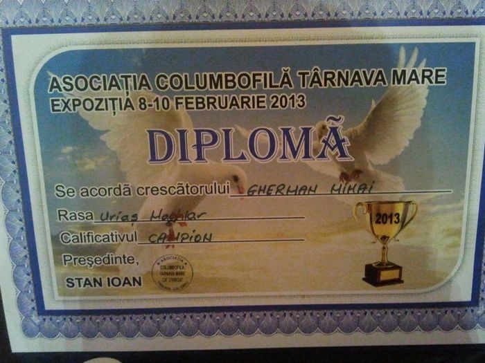 2013-02-10 01.16.12 - cupe si diplome