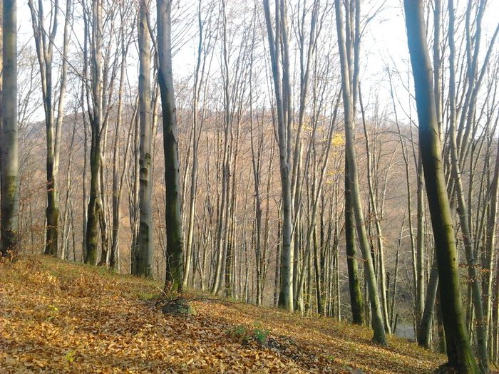 Fotografie0552 - Lacul Nistru