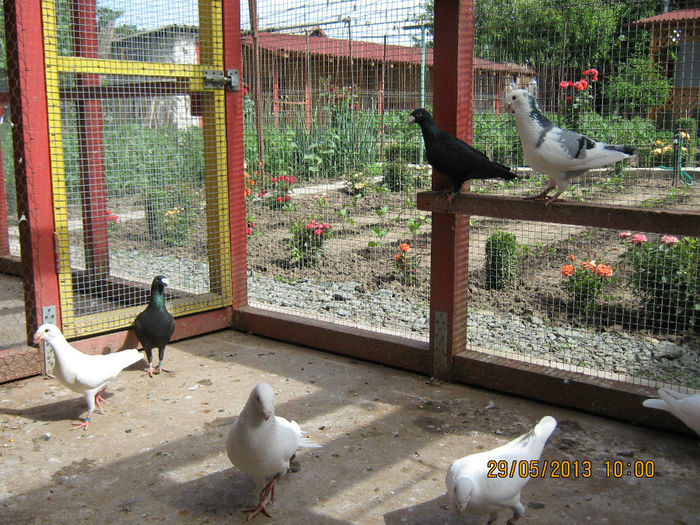 Picture 065