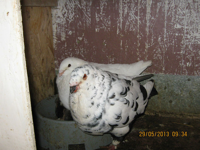 Picture 015