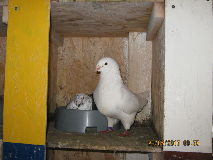 Picture 018