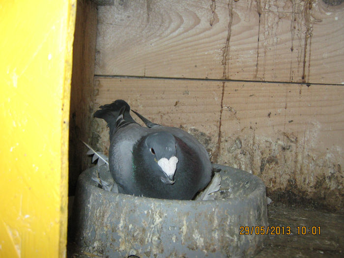 Picture 071