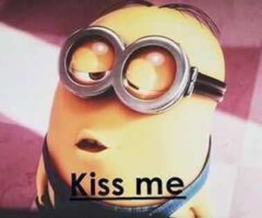 large (5) - hai hai _ ask me something x