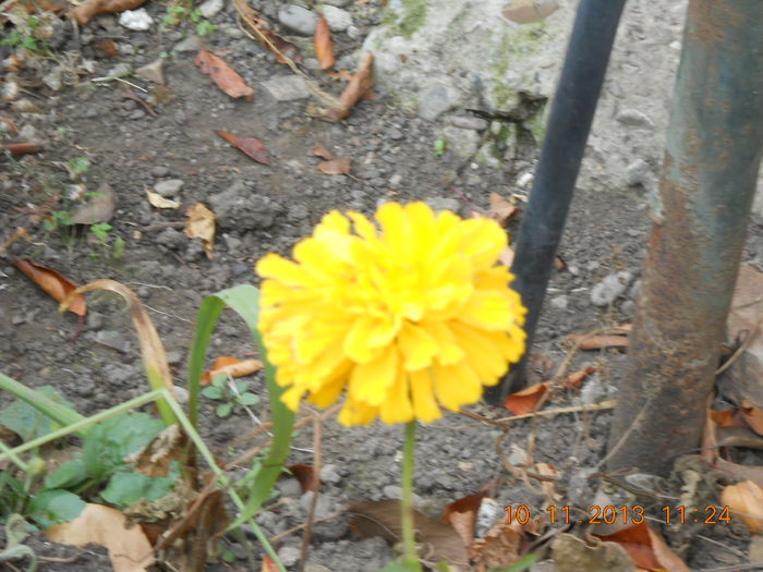 023