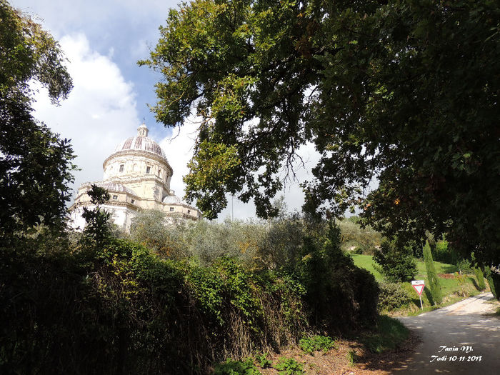 DSCN1278 - 10 11 2013 TODI