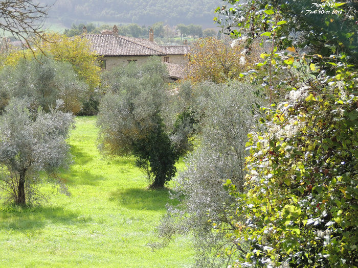 DSCN1286