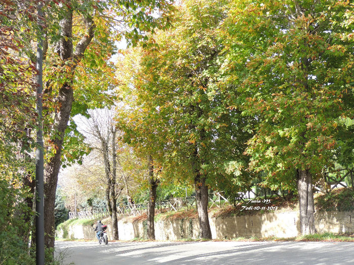 DSCN1290
