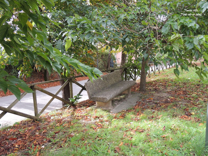 DSCN1299
