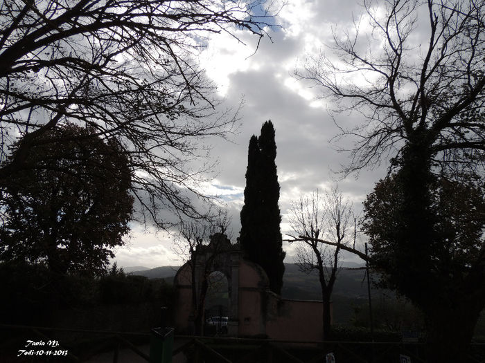 DSCN1311