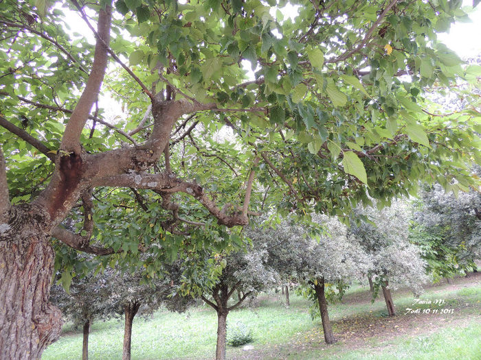DSCN1319
