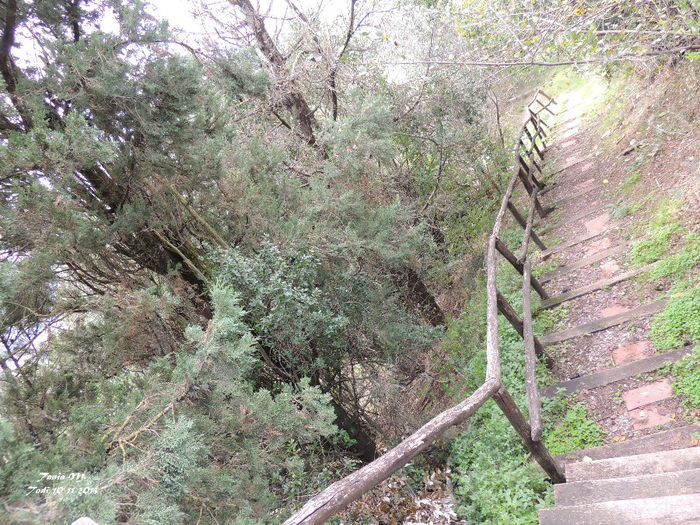 DSCN1322