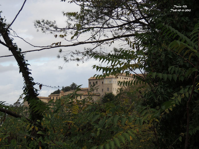 DSCN1339