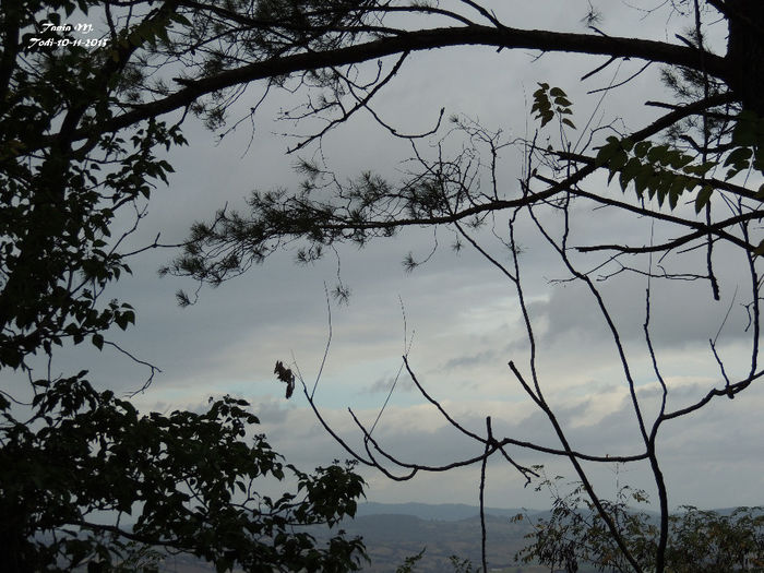 DSCN1340