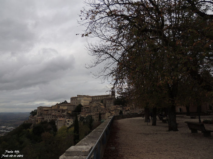 DSCN1346