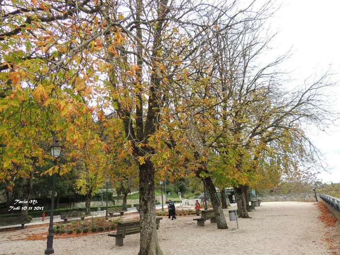 DSCN1360
