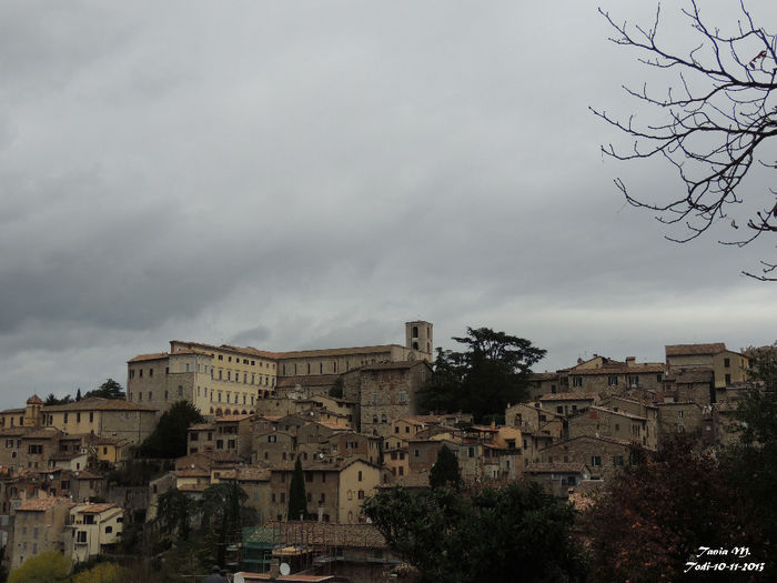 DSCN1363
