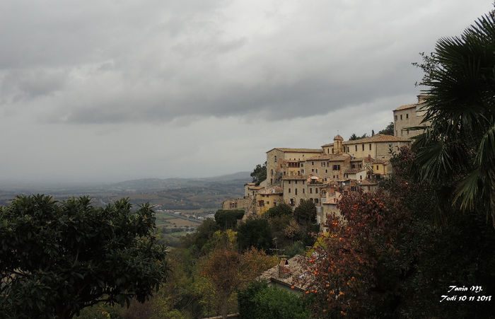 DSCN1365
