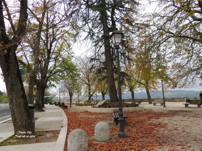 DSCN1371