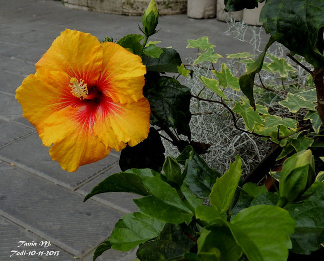 DSCN1405