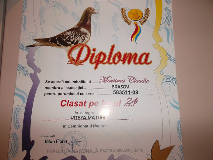 DSCF2430 - Diplome