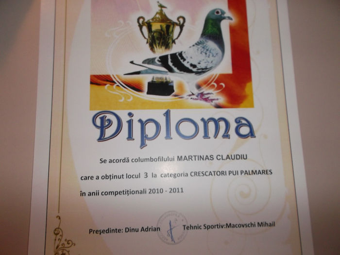 DSCF2431 - Diplome