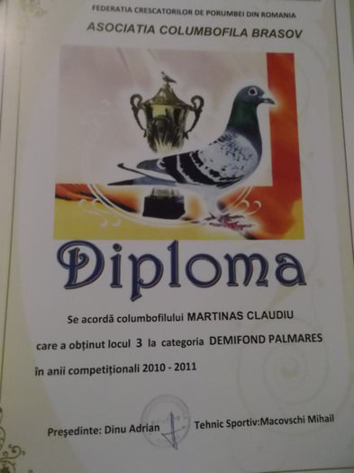 DSCF2436 - Diplome