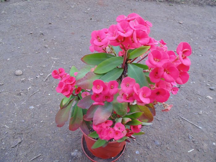 DSC00159