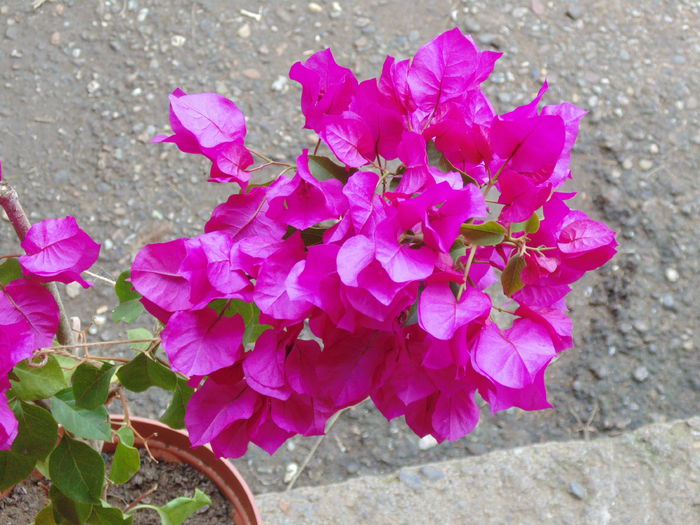 DSC00162